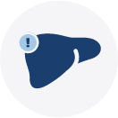 Can Cause Dose-Related Elevations of Liver Transaminases | Liver Warning Icon